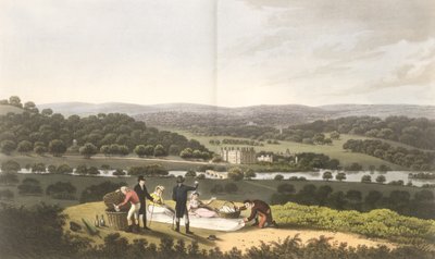 Algemeen uitzicht op Longleat vanaf de Prospect Hill, uit 