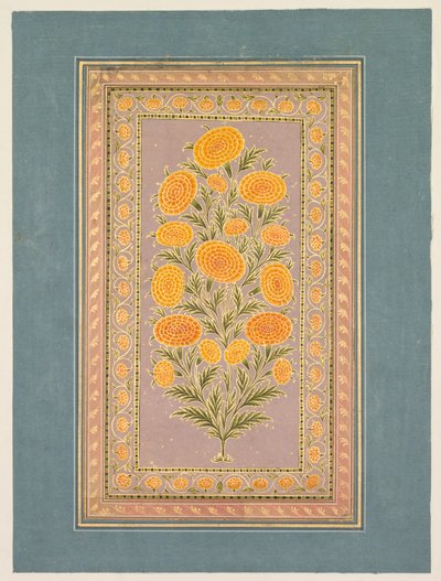 Bloeiende Goudsbloem door Hunhar II