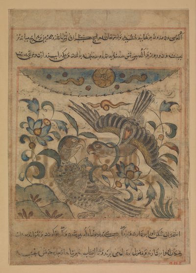 Paar Adelaars, Folio uit een Manafi