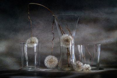  door Igor Kopcev