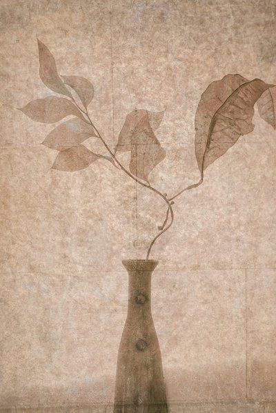 Delicate Sepia Botanicals door Igor Tokarev