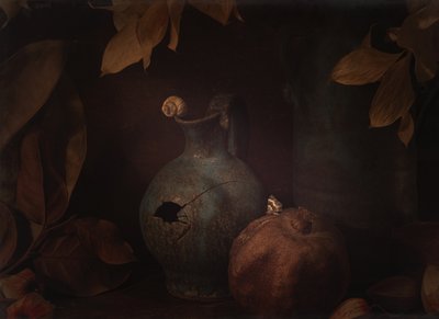 door Igor Tokarev