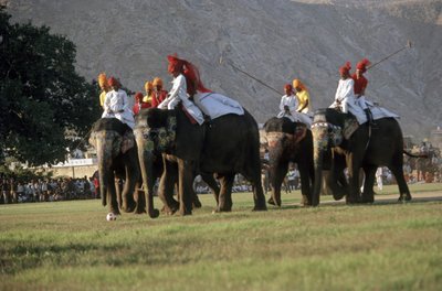 Mannen spelen olifantenpolo (foto) door Indian Photographer