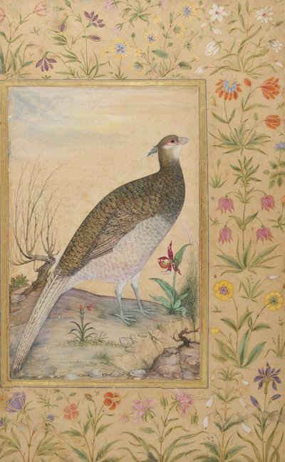 Een Himalaya Cheer Fazant, c.1620, rand c.1635 door Indian School
