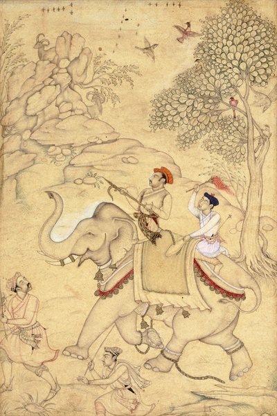 Een prins op jacht, gezeten op een olifant, c.1600-1650 door Indian School