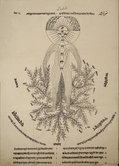 Diagram met meridiaanpunten op het menselijk lichaam door Indian School