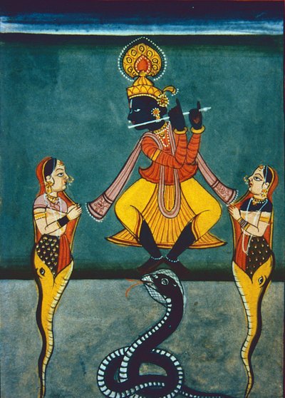 Heer Krishna door Indian School