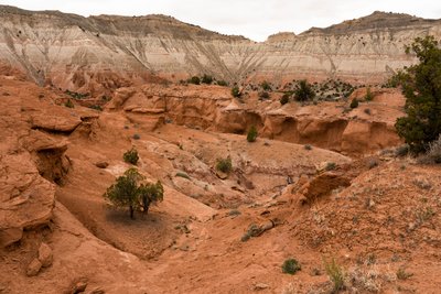 Een landschap in Kodachrome Basin State Park, Utah, 2019 door Ira Block