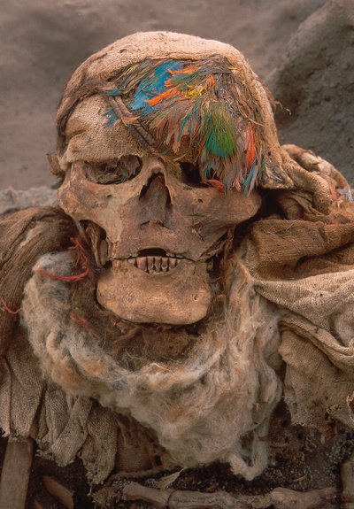 Een recent opgegraven skelet met een veren hoofdtooi, een teken van hoge status fo..., 2001 (foto) door Ira Block