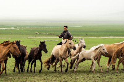 Lokale familie die hun paarden bijeen drijft in Gun-Galuut Natuurreservaat door Ira Block