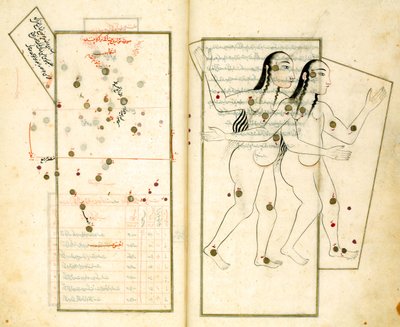 Het Sterrenbeeld Tweelingen uit het Boek van Vaste Sterren door Al-Sufi door Iranian Master