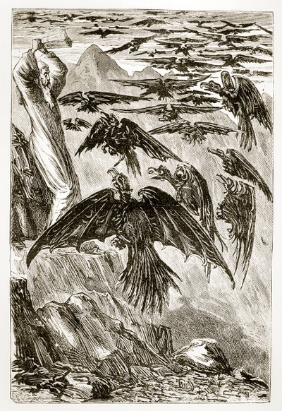 St. Patrick en de demonische vogels, uit The Trias Thaumaturga, of Three Wonder-Working Saints of Ireland, door Mary Cusack, gepubliceerd ca. 1890s door Irish School