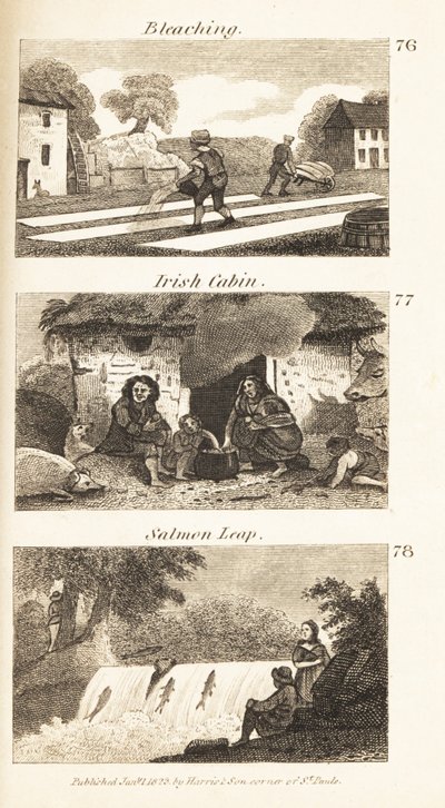 Ambachten in Regency Ierland: bleken, Ierse hut en zalmsprong door Isaac Taylor