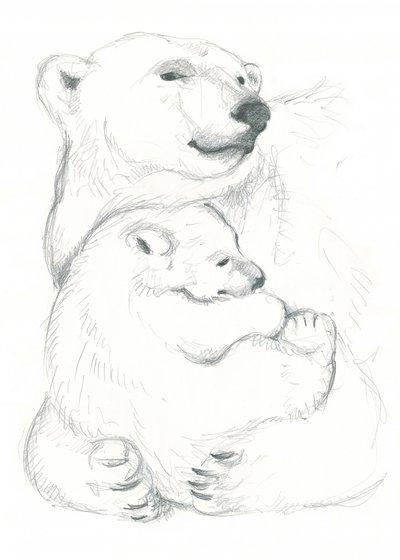 Tekening van ijsbeer en welp door Isabelle Brent