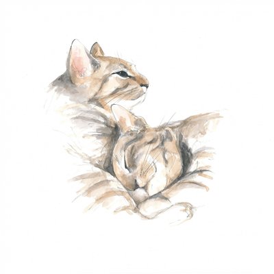 Ontspannen katten door Isabelle Brent