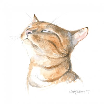 Rustige gestreepte kat door Isabelle Brent