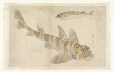 Twee vissen: poon (?) en haring door Ishikawa Kazan