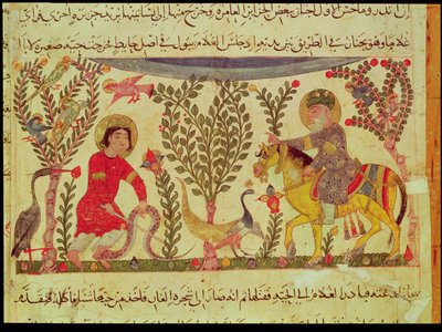 Een dokter die hulp biedt aan een man gebeten door een slang, manuscript uit een verhandeling van Dioscorides, 13e eeuw door Islamic School
