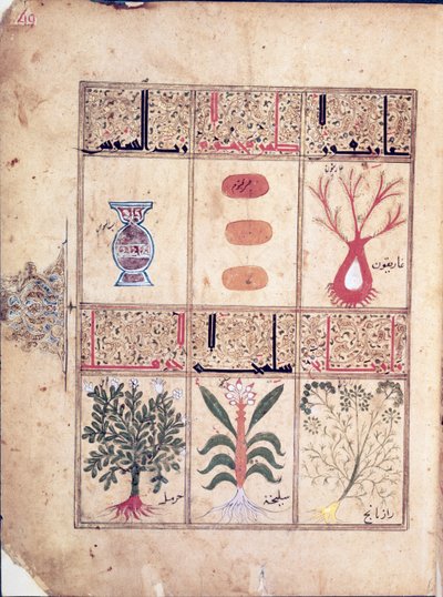 Ms. Arabe 2964 fol.49 Planten uit het Verhandeling over Theriak na Galien, 1217 door Islamic School