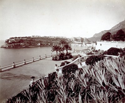 Panorama van Montecarlo. Op de voorgrond, dichte vegetatie van agaveplanten en cactus door Italian Photographer