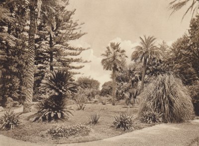 Sicilië / Sicilië: Villa Tasca, Palermo (z/w foto) door Italian Photographer
