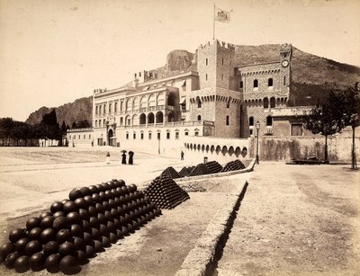 Het Prinselijk Paleis in Montecarlo, in het Vorstendom Monaco door Italian Photographer