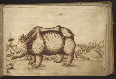Neushoorn. uit Historia Animalium door Italian School