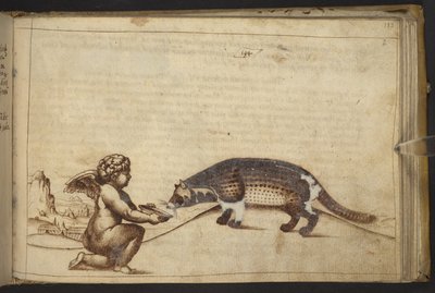 Cherub en een wezen, uit Historia Animalium door Italian School