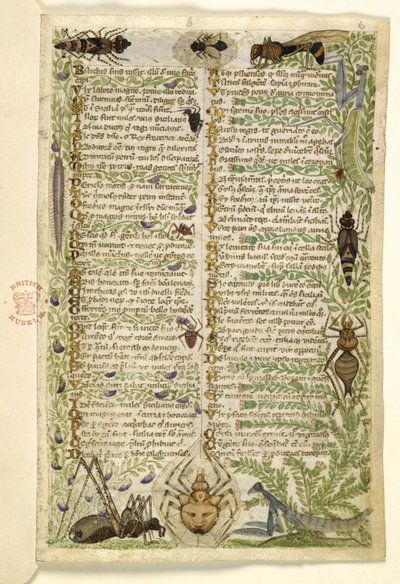 Bladeren uit een proza verhandeling over de Zeven Ondeugden en een vers over gebeurtenissen uit de geschiedenis van Sicilië in de tijd van Frederik II, door Cocharelli, c.1330-40 door Italian School