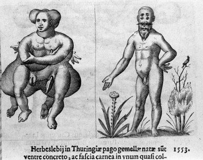 Verschillende soorten menselijke monsters. Gravure uit 