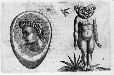 Verschillende soorten menselijke monsters: een fossiele man en een monster. Gravure uit 