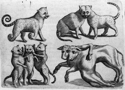 Verschillende soorten monsters: katten en koeien met meerdere lichamen. Gravure uit 