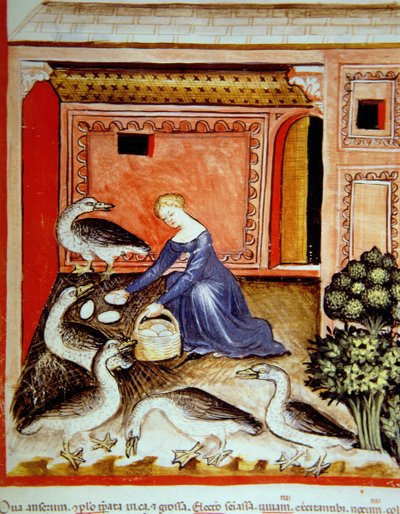 Ganzen fokken, illustratie uit Tacuinum Sanitatis Codex Vindobonensis door Italian School