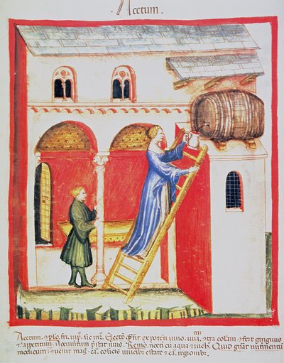 Azijn, illustratie uit Tacuinum Sanitatis Codex Vindobonensis door Italian School