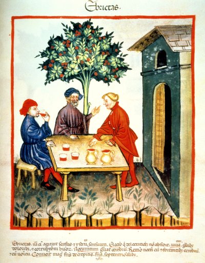 Dronkenschap, illustratie uit Tacuinum Sanitatis Codex Vindobonensis door Italian School
