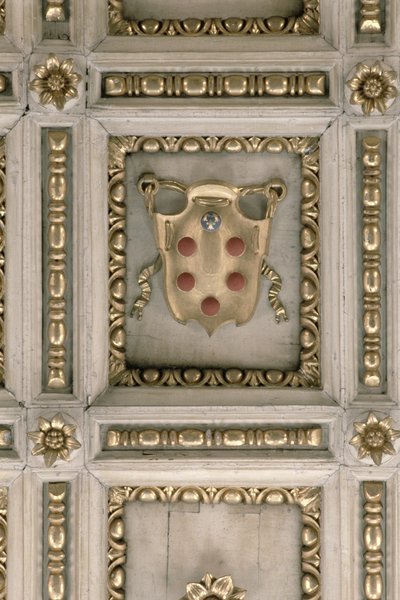 Medici Wapen, van het Plafond van de Kerk door Italian School