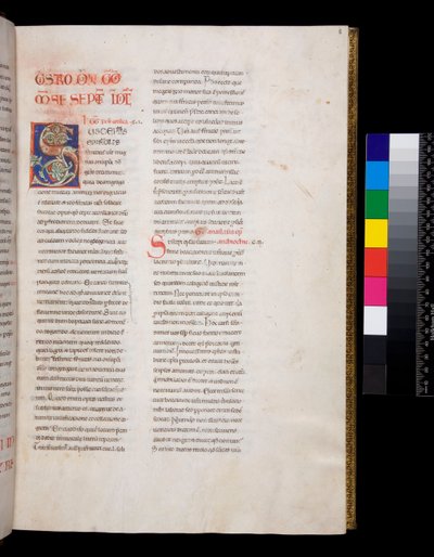Ms 143. Gregorius de Grote, Registrum Epistolarum, f.8r. Gedecoreerde initiaal [S] met witte wijnstokblad invulling en finials door Italian School