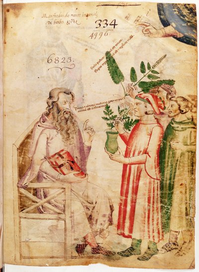 Mannen die planten presenteren aan een onbekende man, uit De Herbis door Manfredus de Monte Imperiali door Italian School