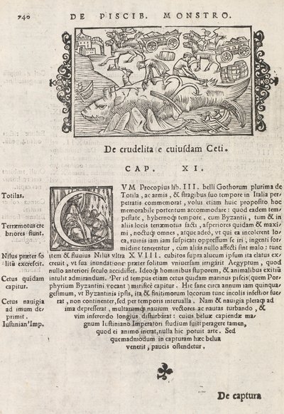 Pagina 740 uit Historia De Gentivus Septentrionalibus door Magnus Olaus, Rome 1565 door Italian School