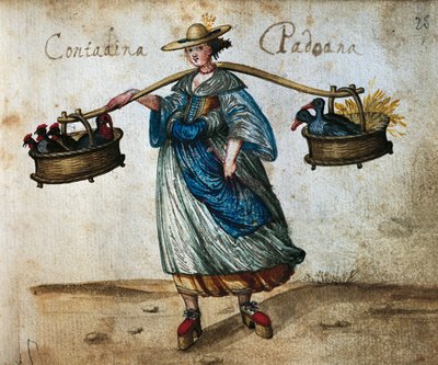 Boer met hofdieren in manden, Vrouwelijke boer uit Padua, kleurenillustratie uit de 16e eeuw door Italian School