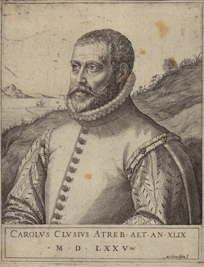 Portret van Carolus Clusius door Italian School