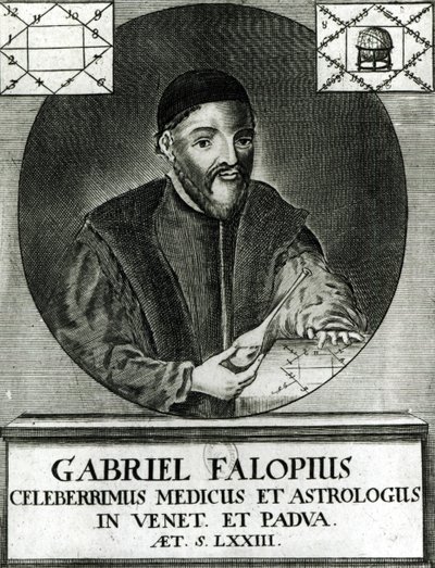 Portret van Gabriel Fallopius (1523-62) door Italian School