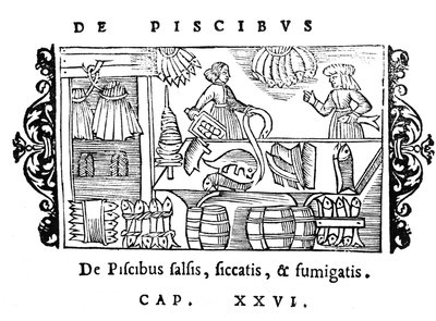 Zouten, drogen en roken van vis, illustratie uit Historia de Gentibus Septentrionalibus door Olaus Magnus (1490-1558), uitgegeven in Rome, 1555 door Italian School