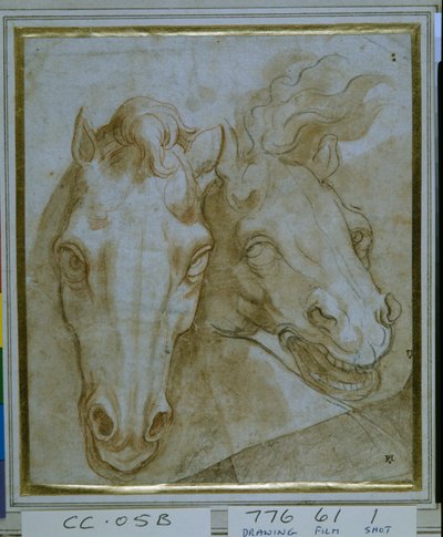 Studies voor de hoofden van twee paarden door Italian School
