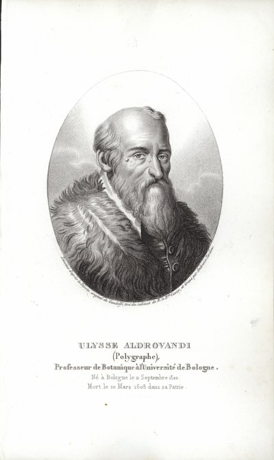 Ulisse Aldrovandi door Italian School