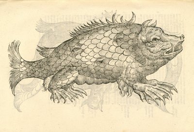 Illustratie van Monstrosus Sur marinus uit Aldrovandis Geschiedenis van Monsters, 1642 door Italian School