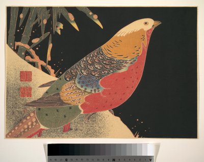 Gouden fazant in de sneeuw, ca 1900 (houtsnede, inkt en kleur op papier) door Ito Jakuchu