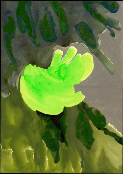 Kensington Gardens Serie: Leaf Cascade, 2007 door Izabella Godlewska de Aranda