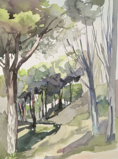 Nr.55 Puerto de Hierro Club, Madrid, Spanje door Izabella Godlewska de Aranda