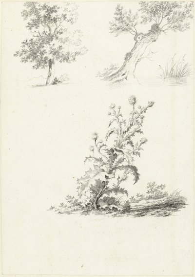 Twee studies van een boom en een distel door J.B. Joss (attributed to)